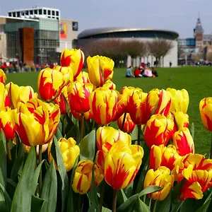 De Hallen , Amsterdam Netherlands