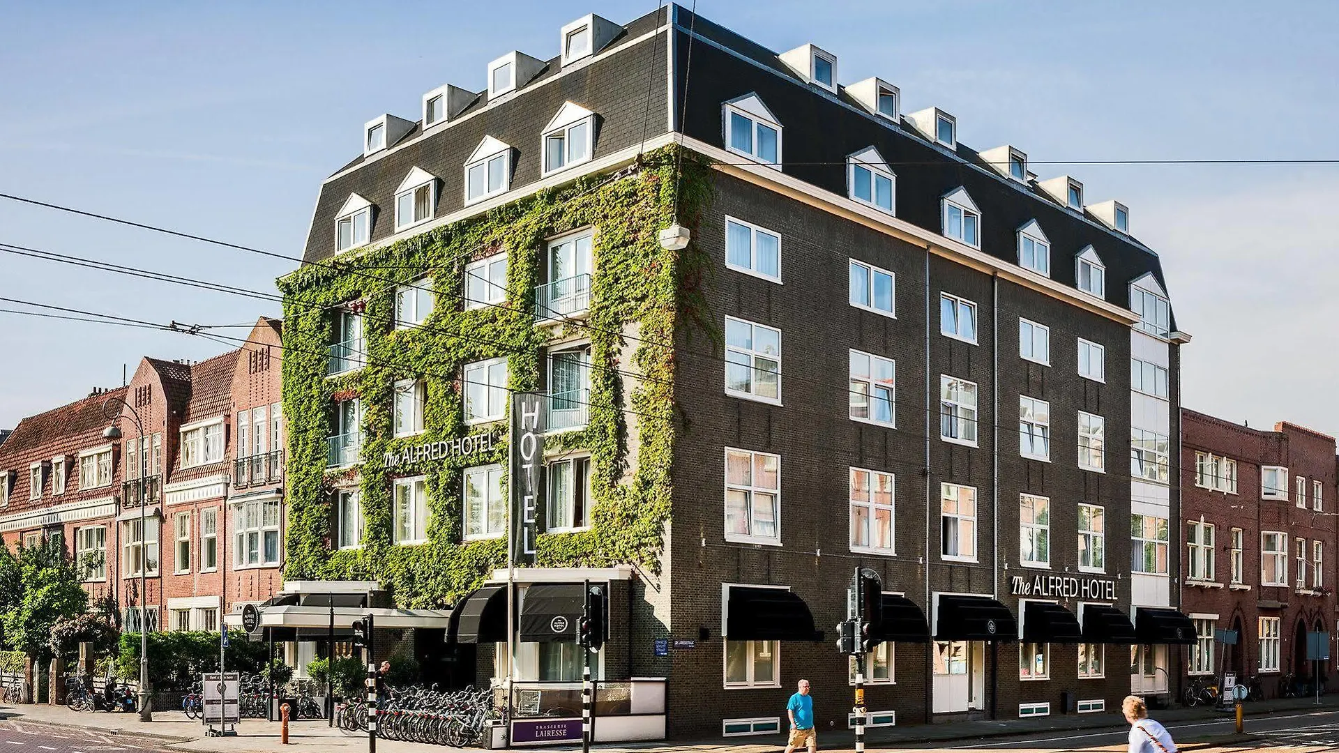 The Alfred Hotel contacts